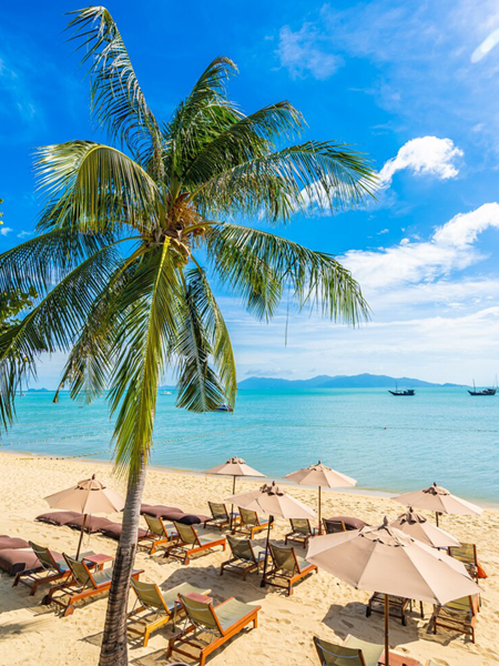 Goa