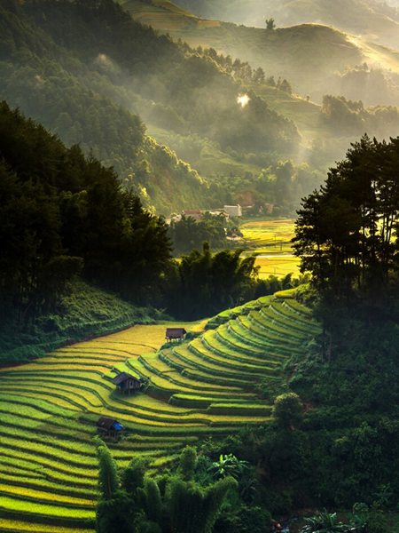 Vietnam